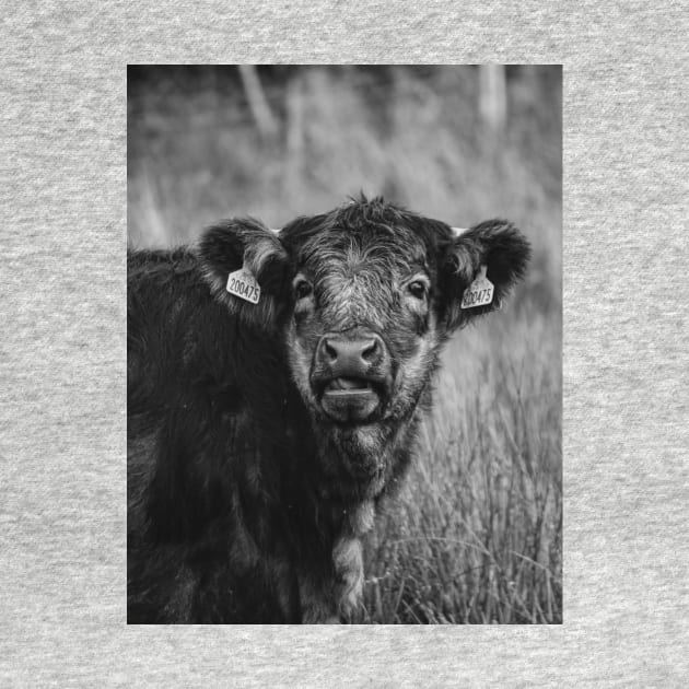 Scottish Highland Blue Grey | Unique Beautiful Travelling Home Decor | Phone Cases Stickers Wall Prints | Scottish Travel Photographer  | ZOE DARGUE PHOTOGRAPHY | Glasgow Travel Photographer by zohams